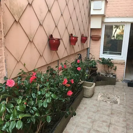 Vakantiehuis Maison D'amitie *